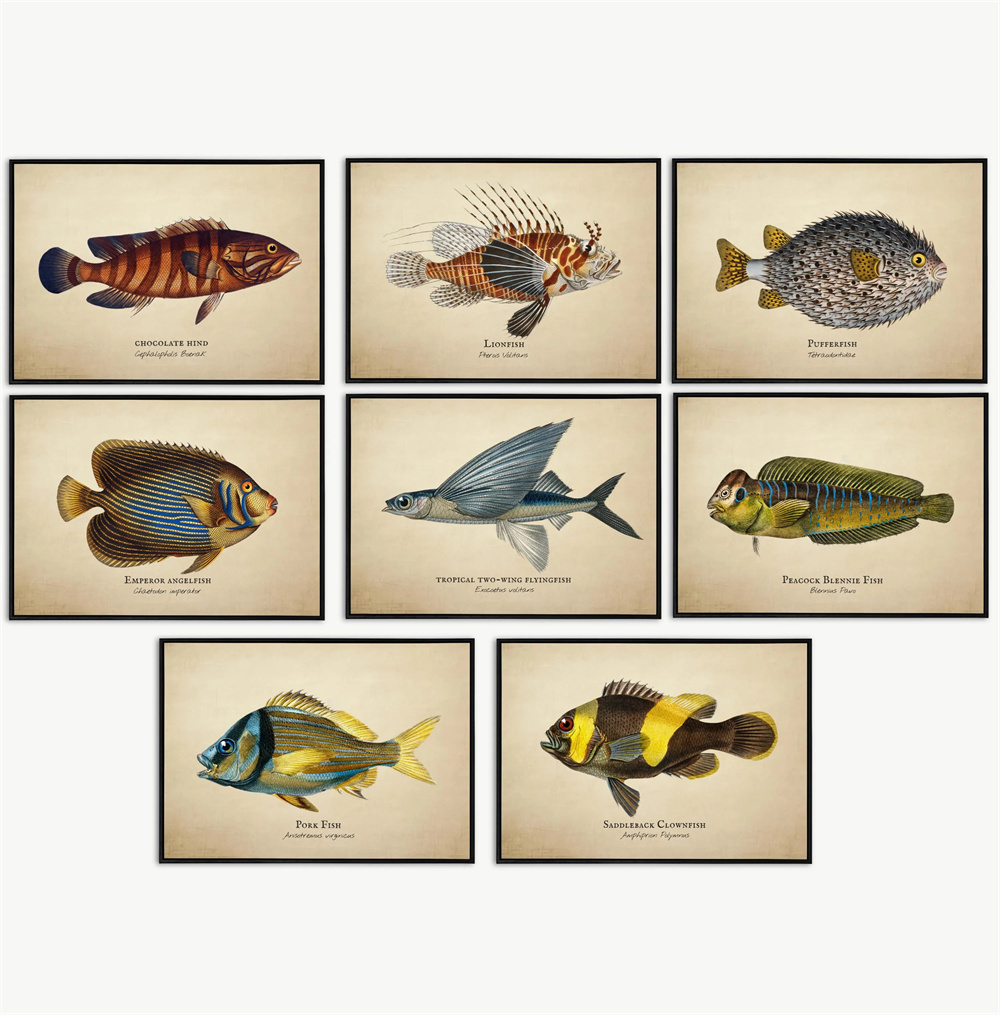 Marine Aquarium Home - Zdjęcia w stylu vintage, ryby tropikalne,