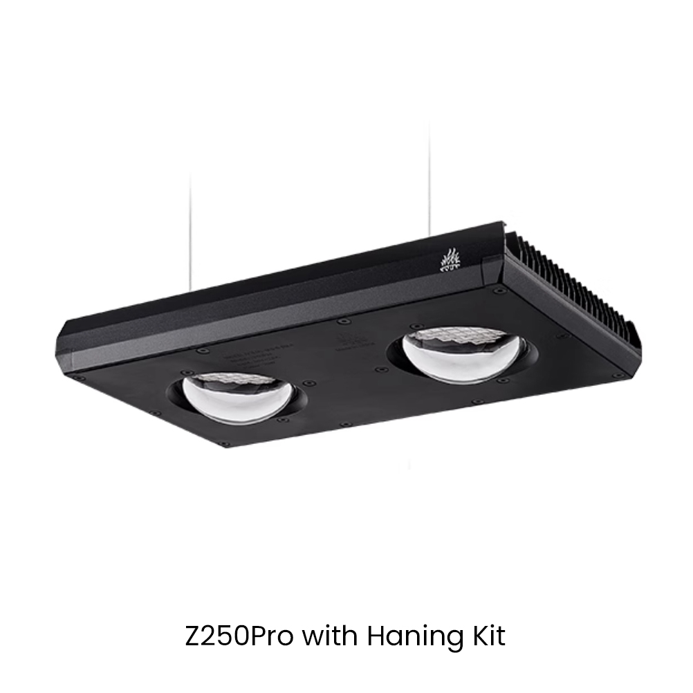 Week AQUA Z250/Z400 Sea LED Re – Aqua Marine Tank recenzja i cena