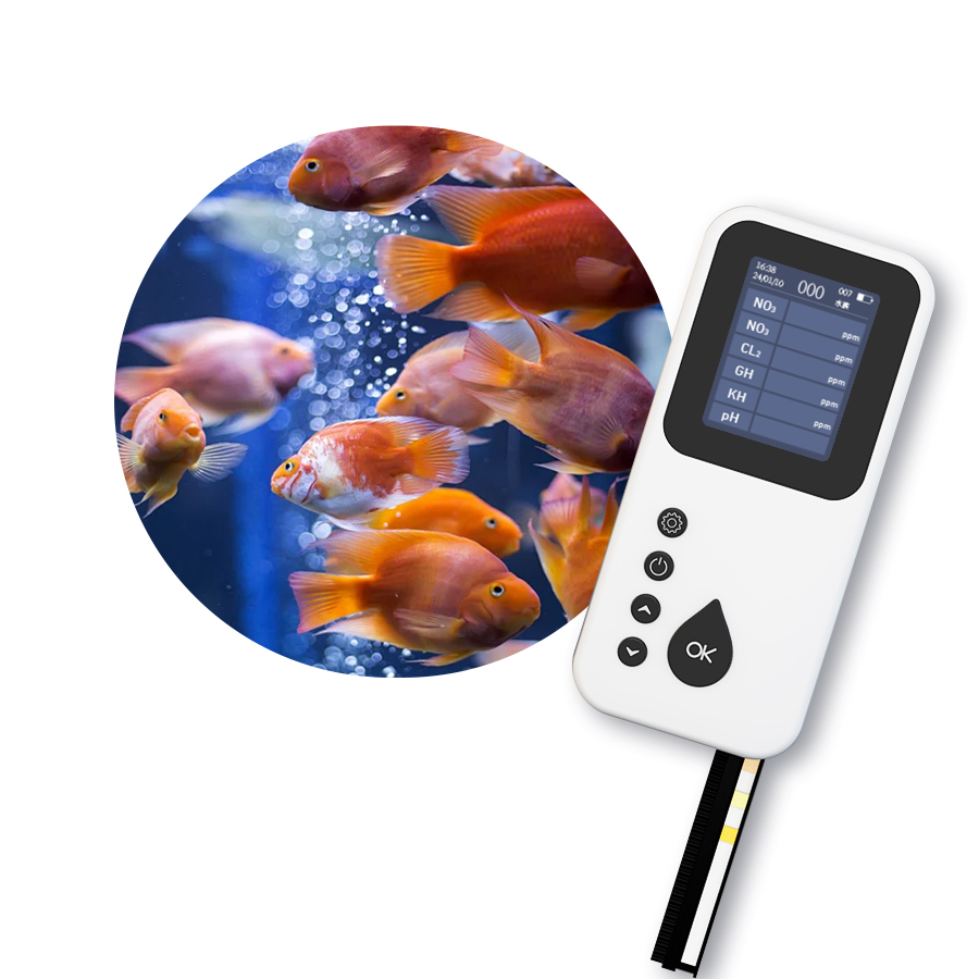 Przenośny cyfrowy tester jakoś – Aquarium & Marine Museum Kota Kinabalu recenzja i cena