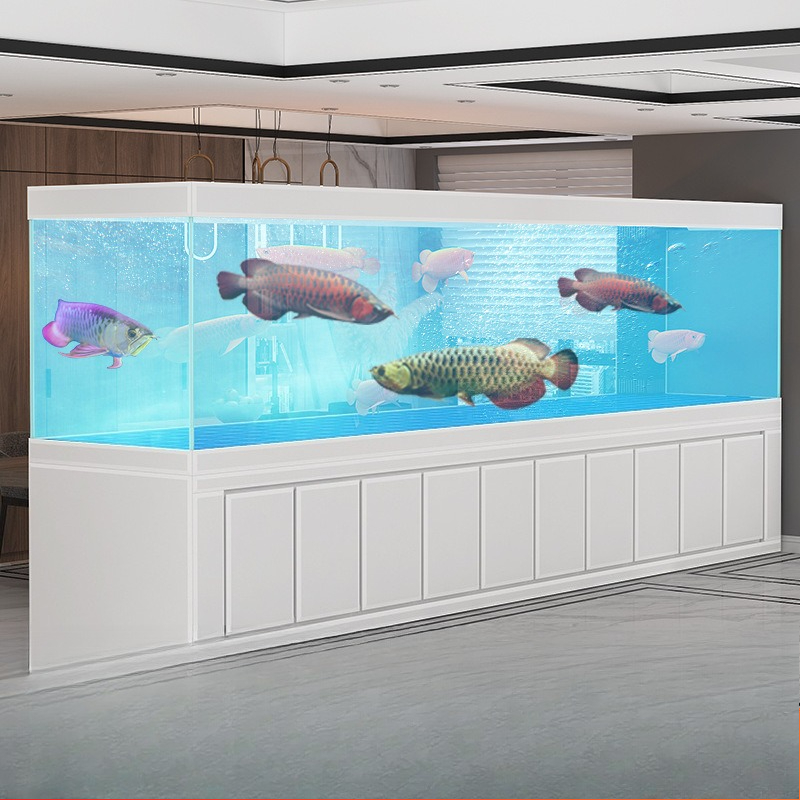 Duży akwarium Jinlong do salon – Marine Aquarium With Sump recenzja i cena