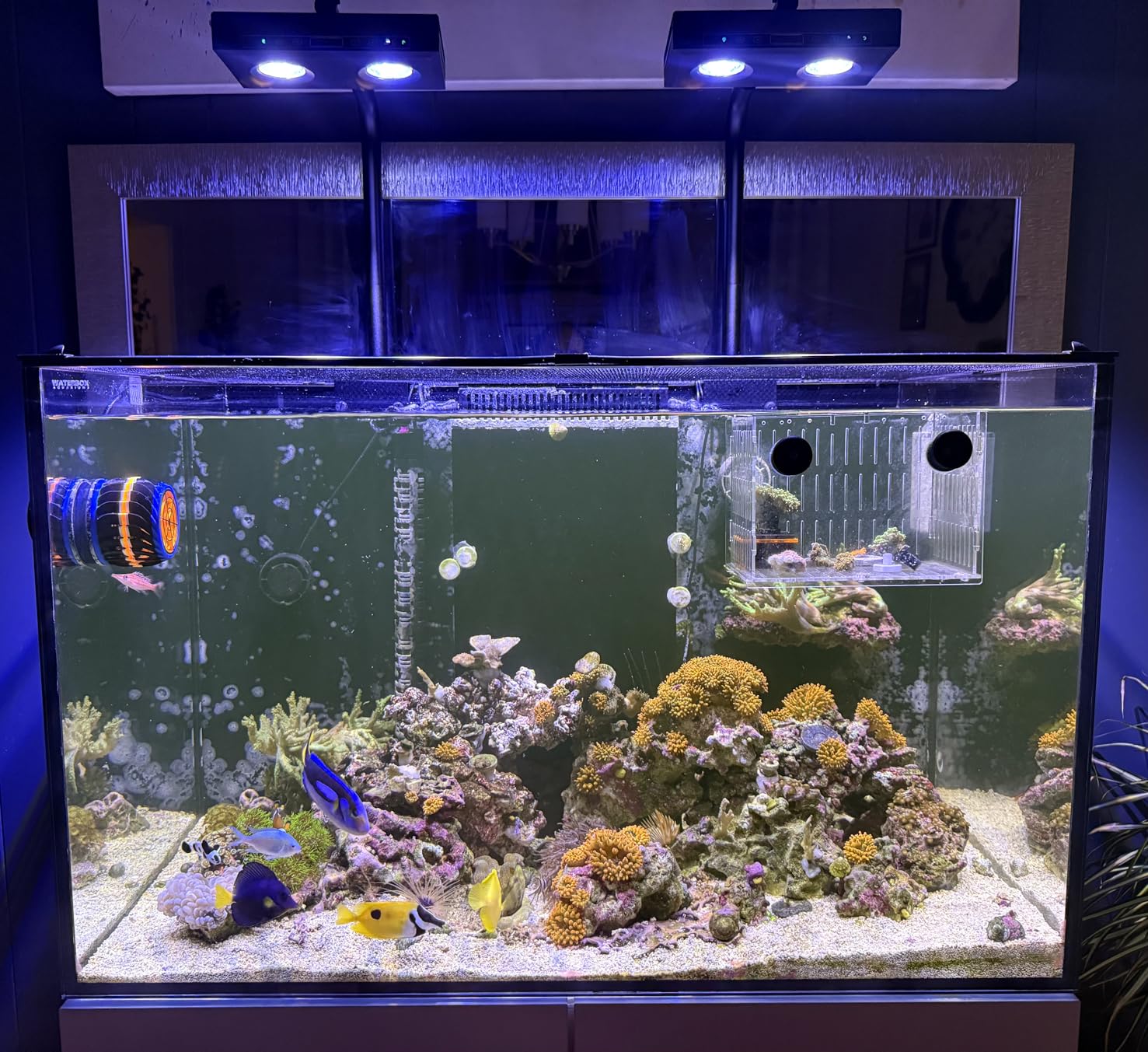 Wysokiej Mocy DIY Spektrum 90W – Aqua Marine Tank recenzja i cena