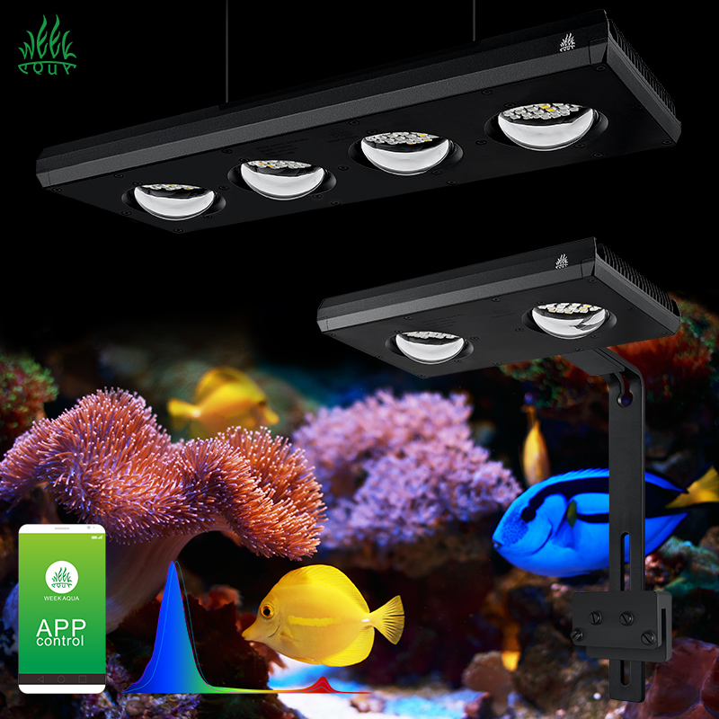 Week Aqua Z250Sea Z400Sea LED  – Aqua Marine Tank recenzja i cena