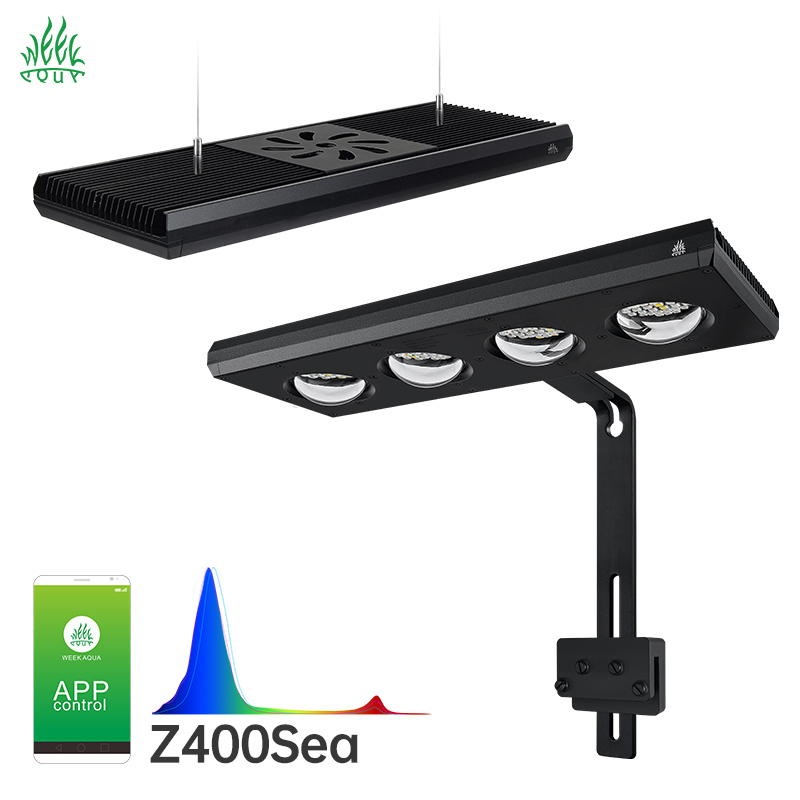 Week Aqua Z250Sea Z400Sea LED  – Aqua Marine Tank recenzja i cena