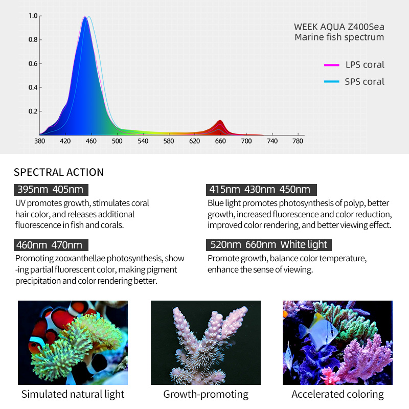 Week Aqua Z250Sea Z400Sea LED  – Aqua Marine Tank recenzja i cena