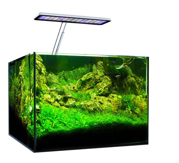 MicMol Aqua CC Akwariowa Lampa – Aqua Marine Tank recenzja i cena
