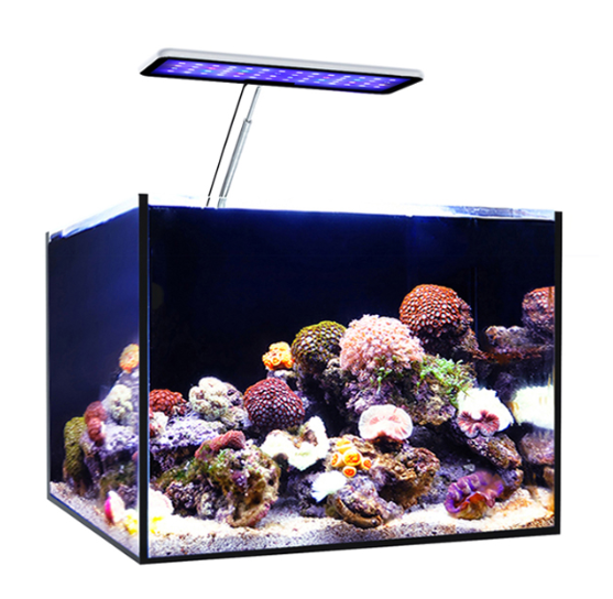 MicMol Aqua CC Akwariowa Lampa – Aqua Marine Tank recenzja i cena