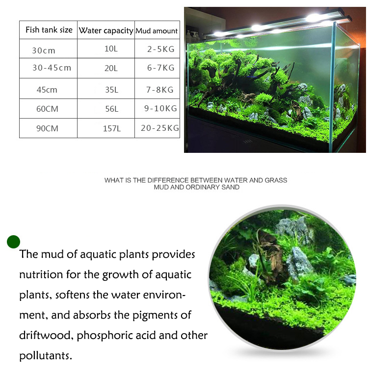 Roślina akwariowa nasiona gleb – Aquarium Marine Sand recenzja i cena