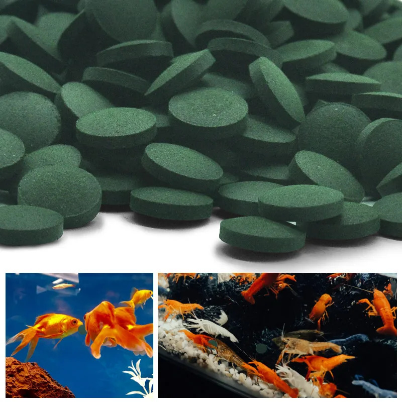 100-1500 szt. Tabletek Spiruli – Aquarium & Marine Museum Kota Kinabalu recenzja i cena