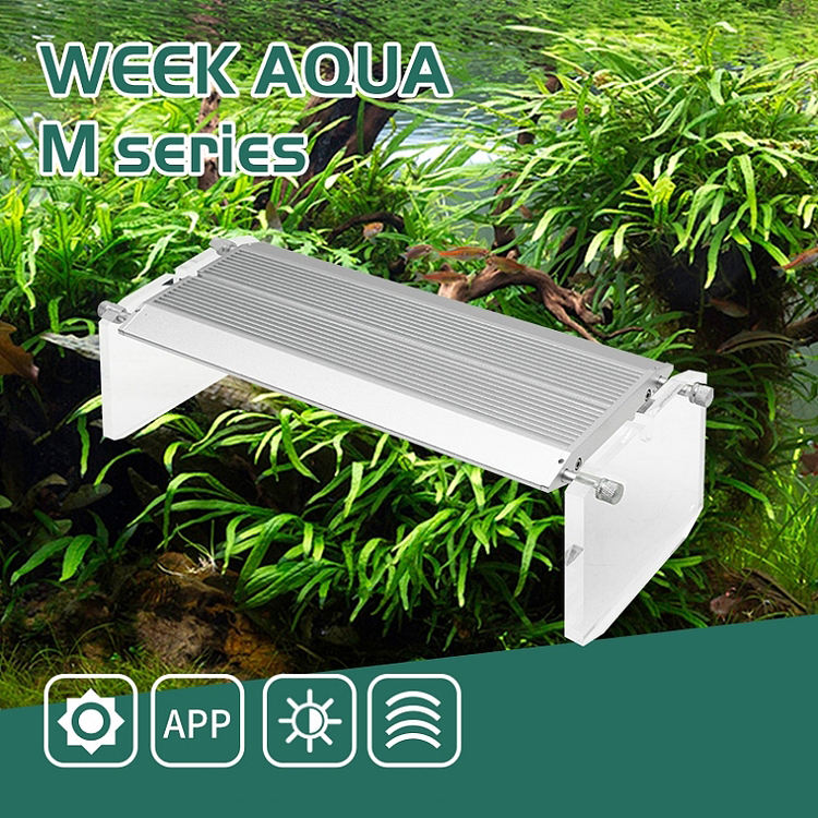 WEEK AQUA Akwariowa Lampa LED  – Aqua Marine Tank recenzja i cena
